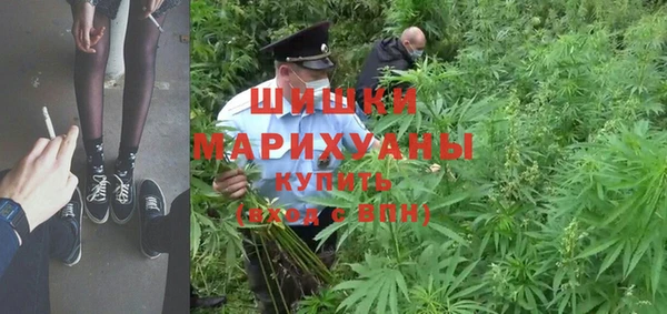 винт Белокуриха