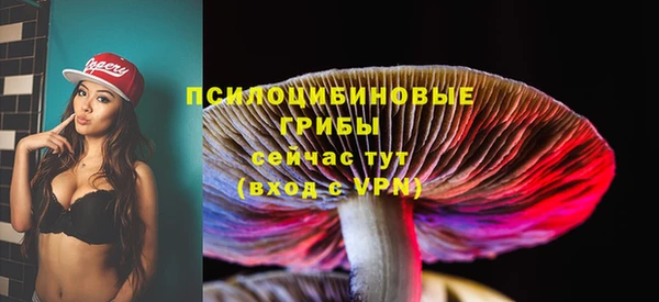 винт Белокуриха